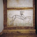 Während der Voruntersuchungen gelang ein Glücksfund: Hinter einer späteren Vermauerung kam die hervorragend erhaltene Wandmalerei eines Windhundes aus dem 16. Jahrhundert zum Vorschein.