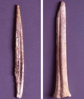 Siebenlinden 3-5, Geschoßspitze und Meißel aus Knochen, Beuronien C.