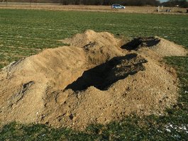 Das Beispiel einer Raubgrabung in einem frühmittelalterlichen Gräberfeld nahe Philippsburg zeigt, wie massiv in Bodendenkmale durch illegale Grabungen eingegriffen wird.