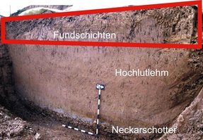Profil durch die Schichtenfolge in Siebenlinden mit der Darstellung der archäologischen Horizonte.