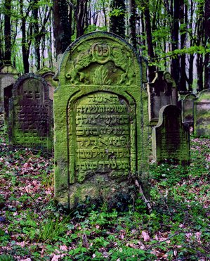Friedhöfe: Grabstein der Zerle, Frau des Mordechai, auf dem jüdischen Friedhof von Waibstadt (Rhein-Neckar-Kreis) aus dem 18. Jh.