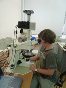 Ein Junge schaut in ein Mikroskop
