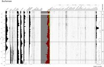 Neues Pollendiagramm vom Buchensee. Analyse: L. Wick