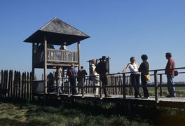 Turm und Steg aus Holz mit Personen
