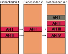 Korrelation der archäologischen Horizonte in Siebenlinden 1, 2 und 3-5